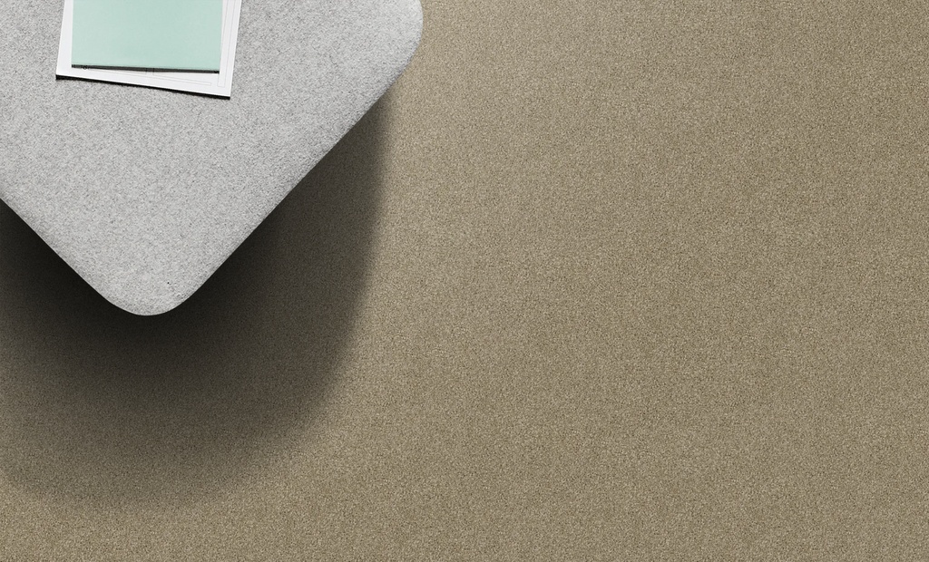Bayside (Solution Dyed Nylon) Carpet