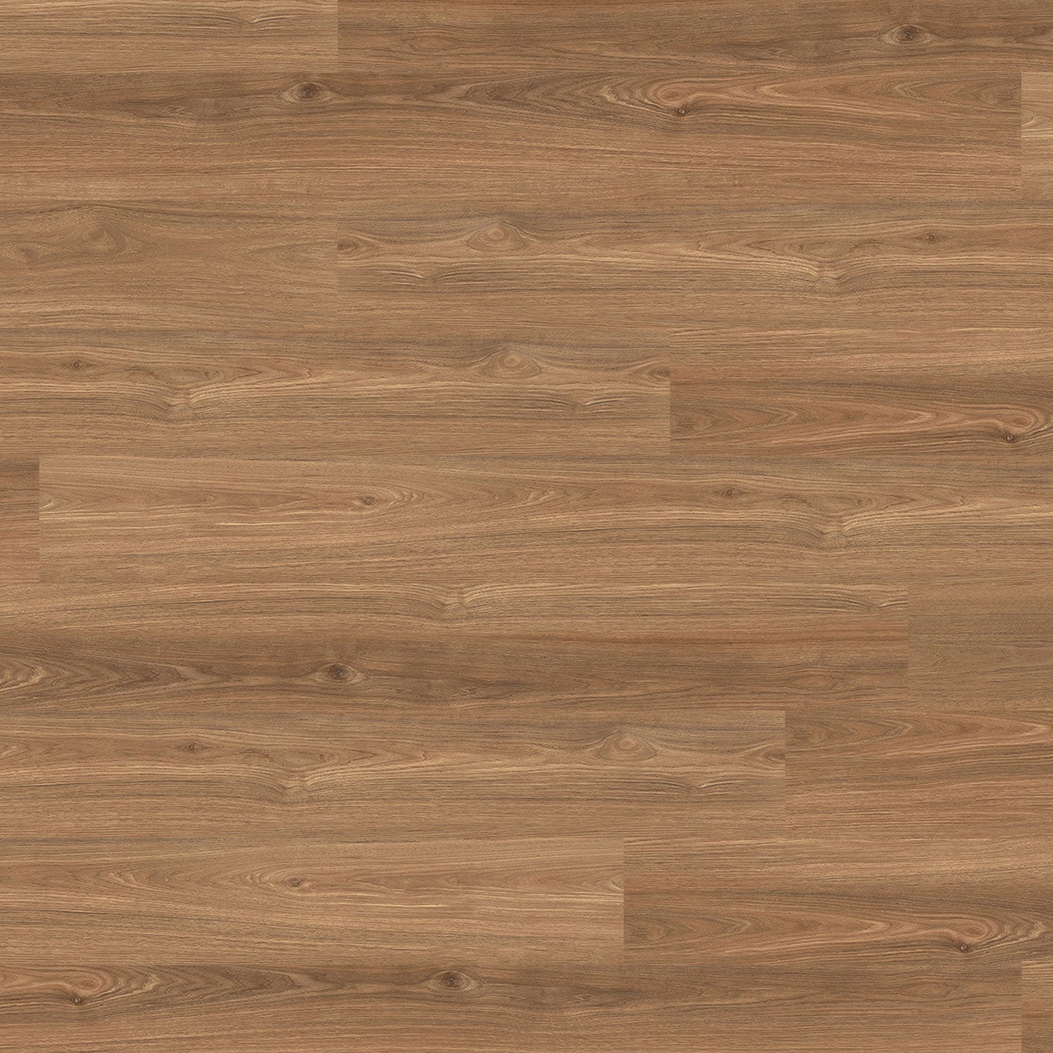 Metropol Oak