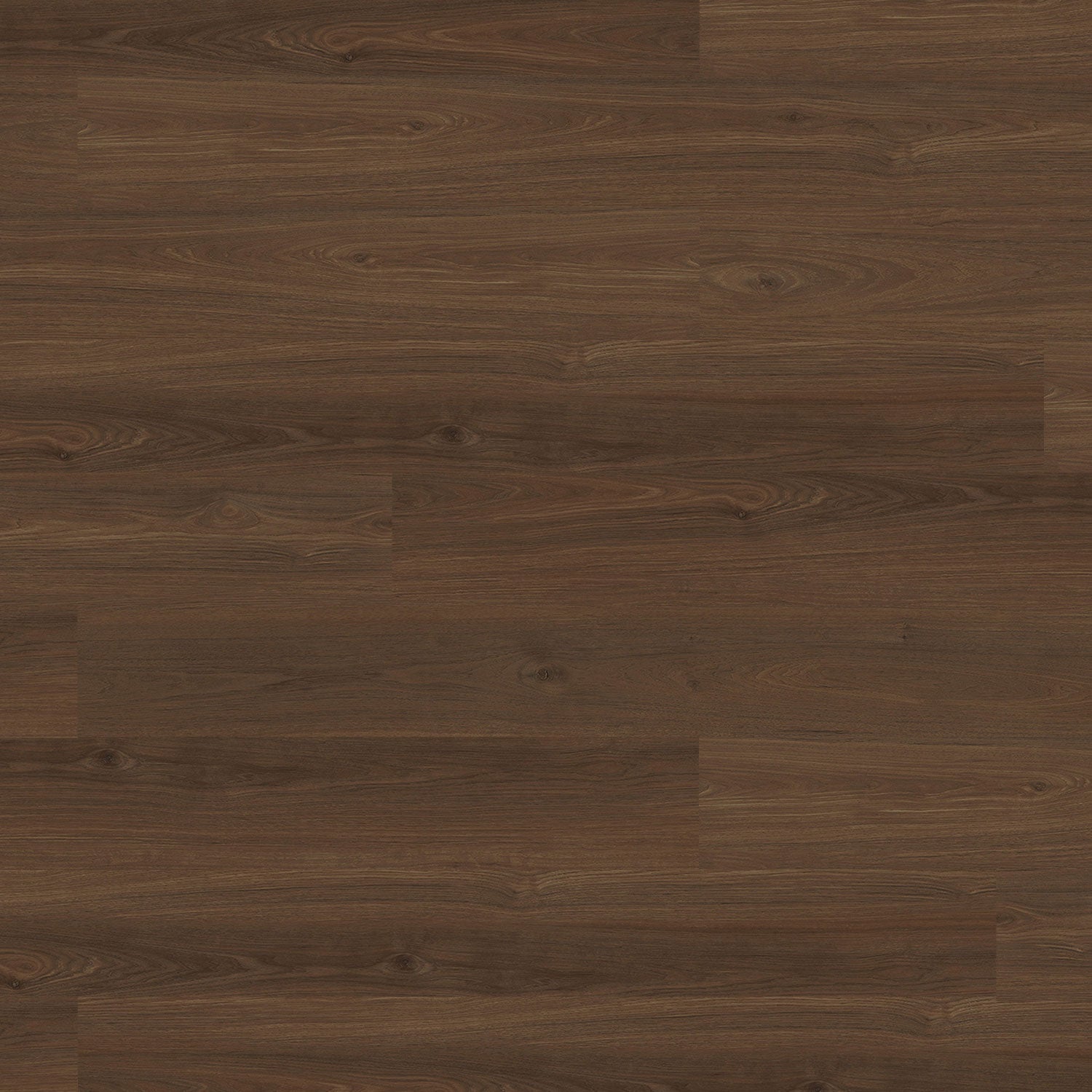 Metropol Oak