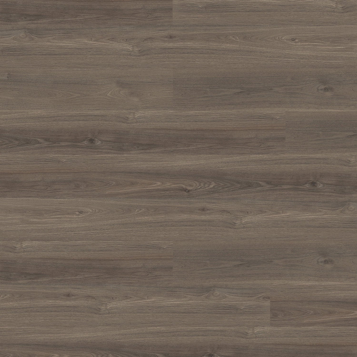 Metropol Oak