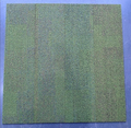 Seagrass
