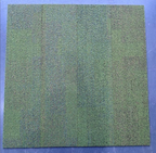 Seagrass
