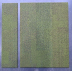 Seagrass