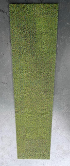 Seagrass