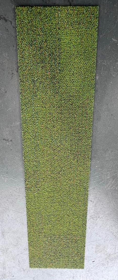 Seagrass