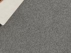 Venture (Solution Dyed Nylon) Carpet