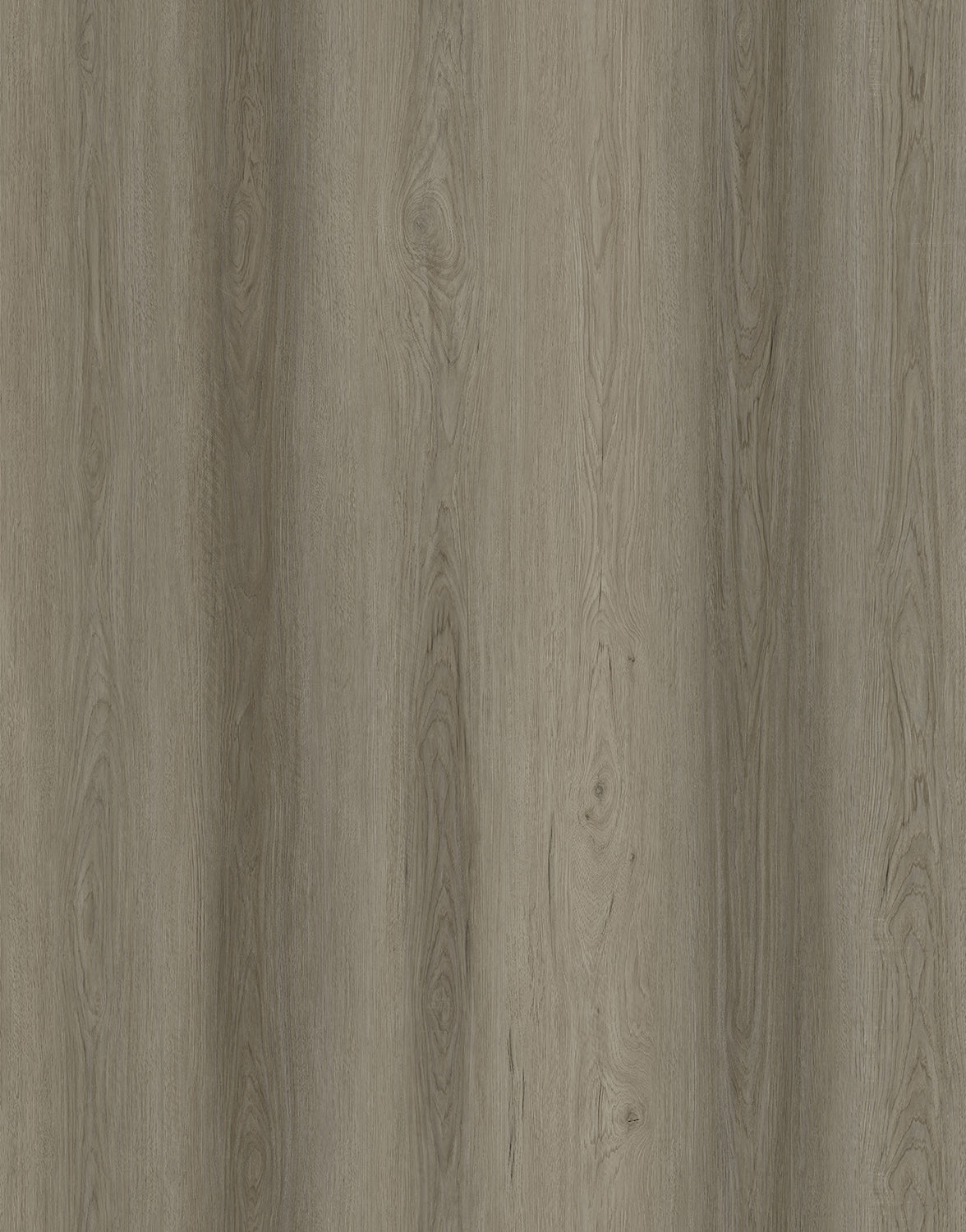 Vista 1500 Laminate