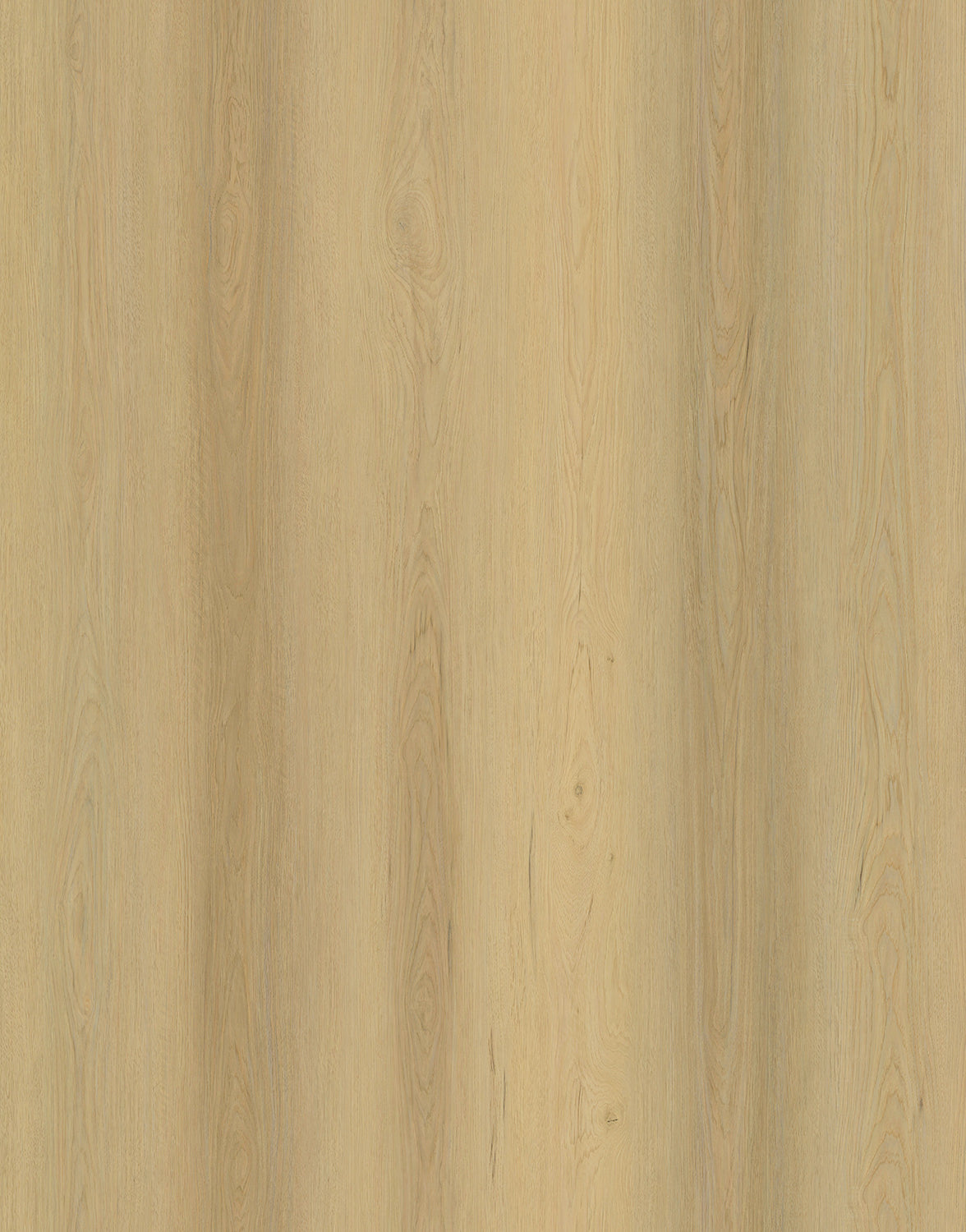 Vista 1500 Laminate