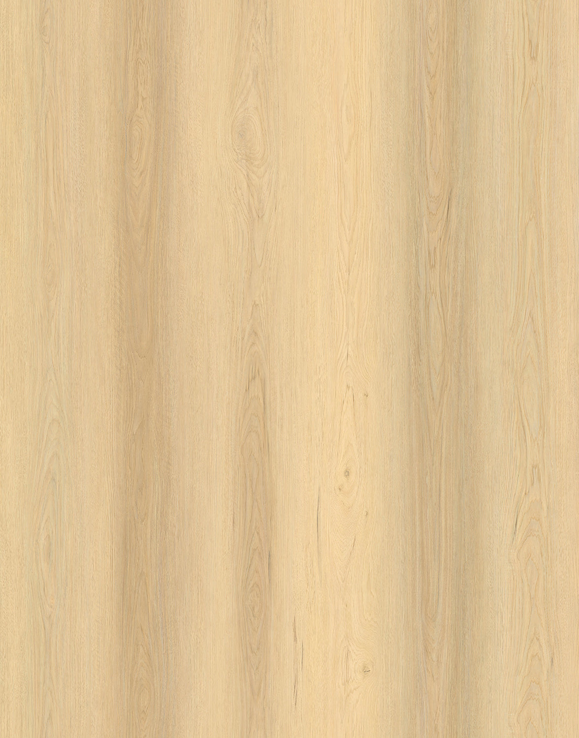 Vista 1500 Laminate
