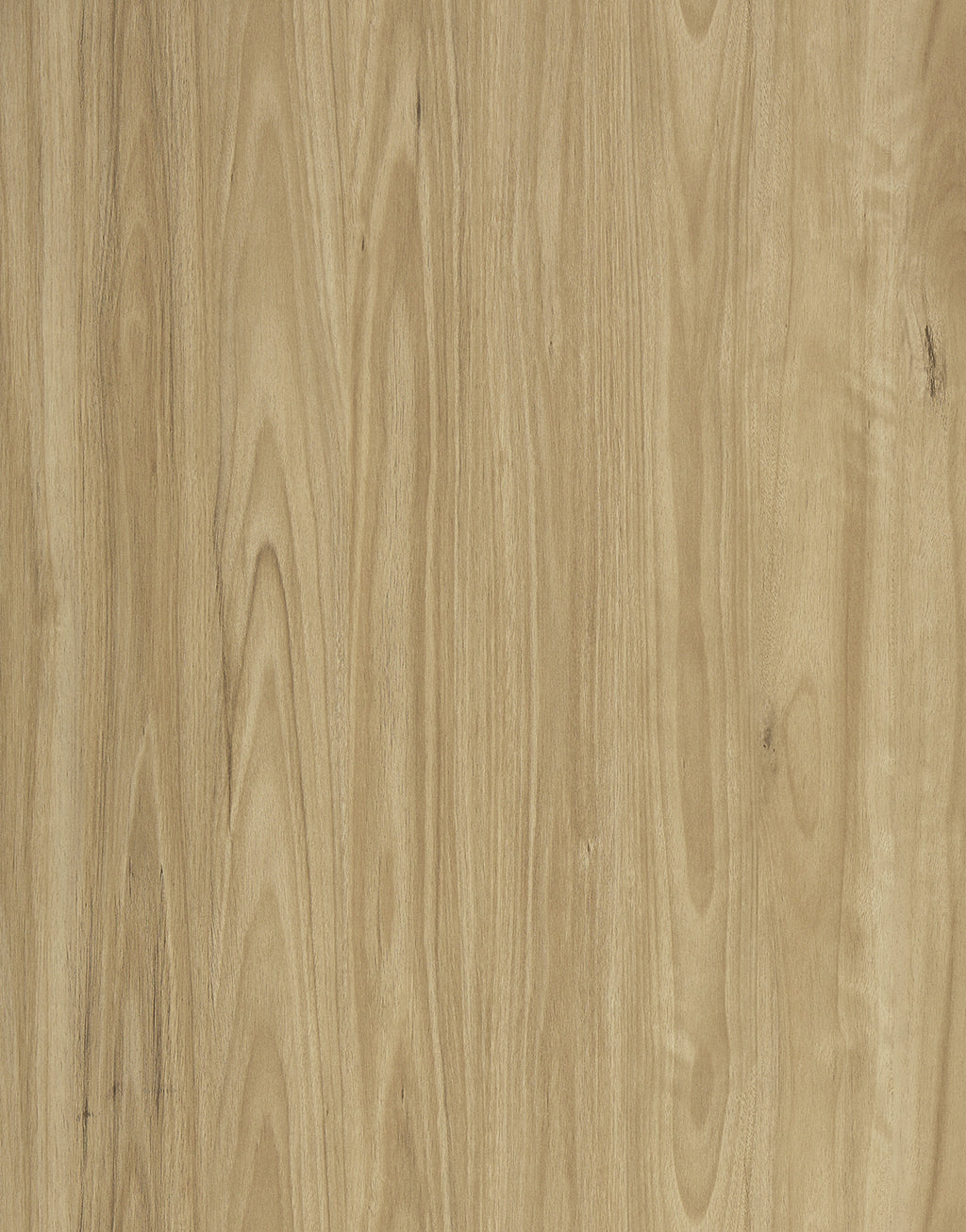 Vista 1500 Laminate