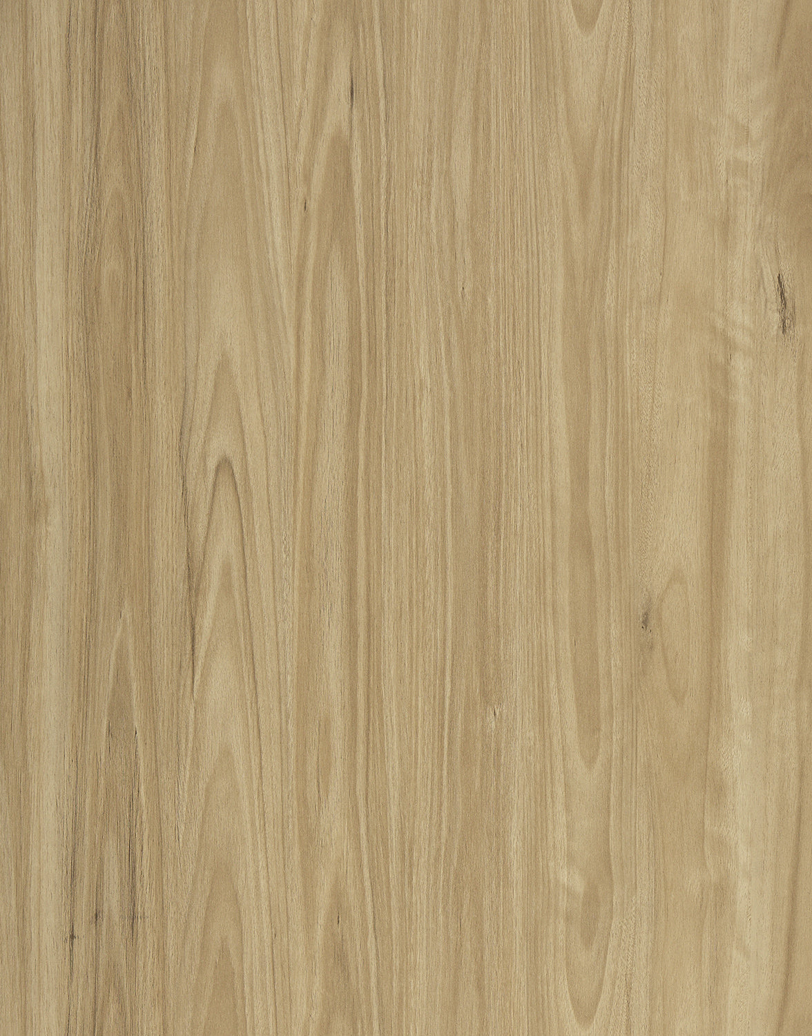 Vista 1500 Laminate