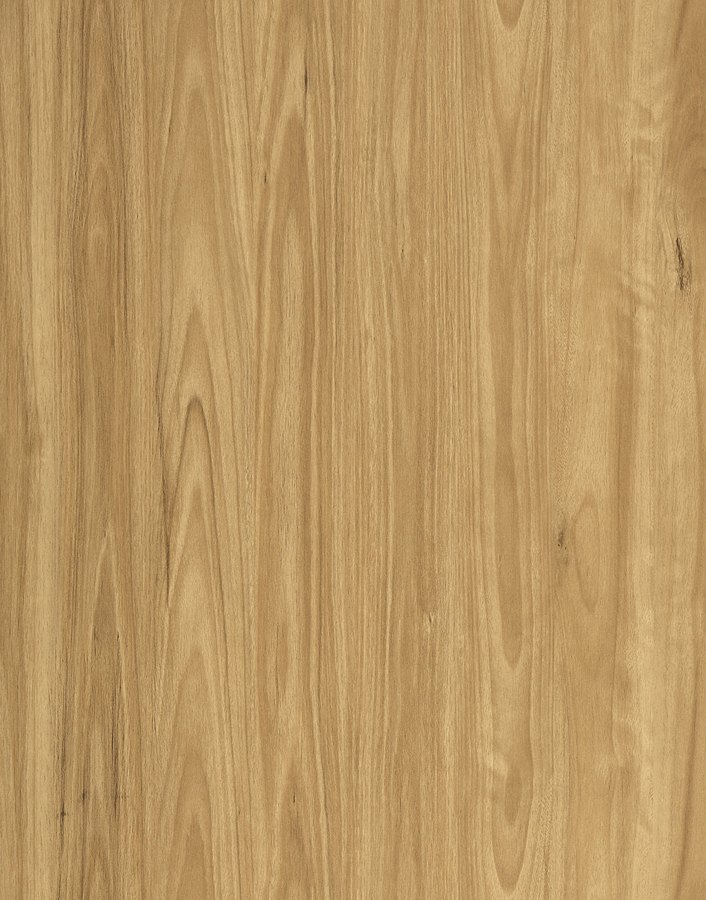 Vista 1500 Laminate