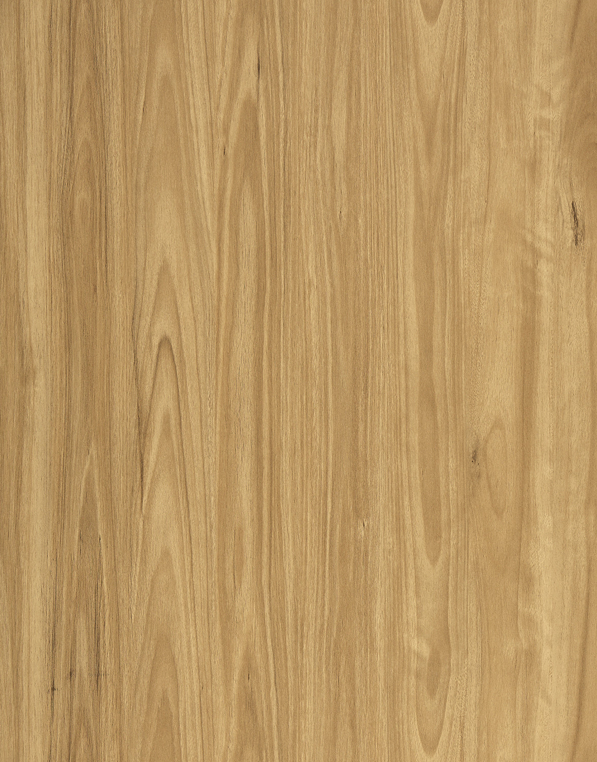 Vista 1500 Laminate