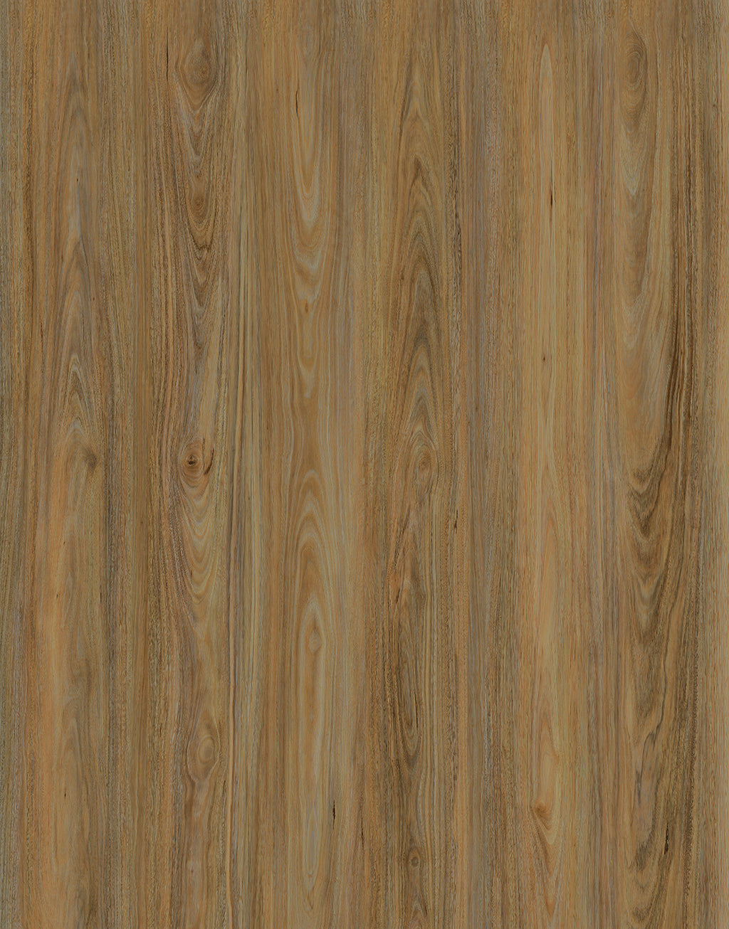 Vista 1500 Laminate