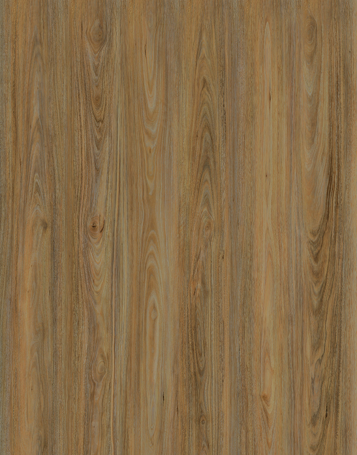 Vista 1500 Laminate