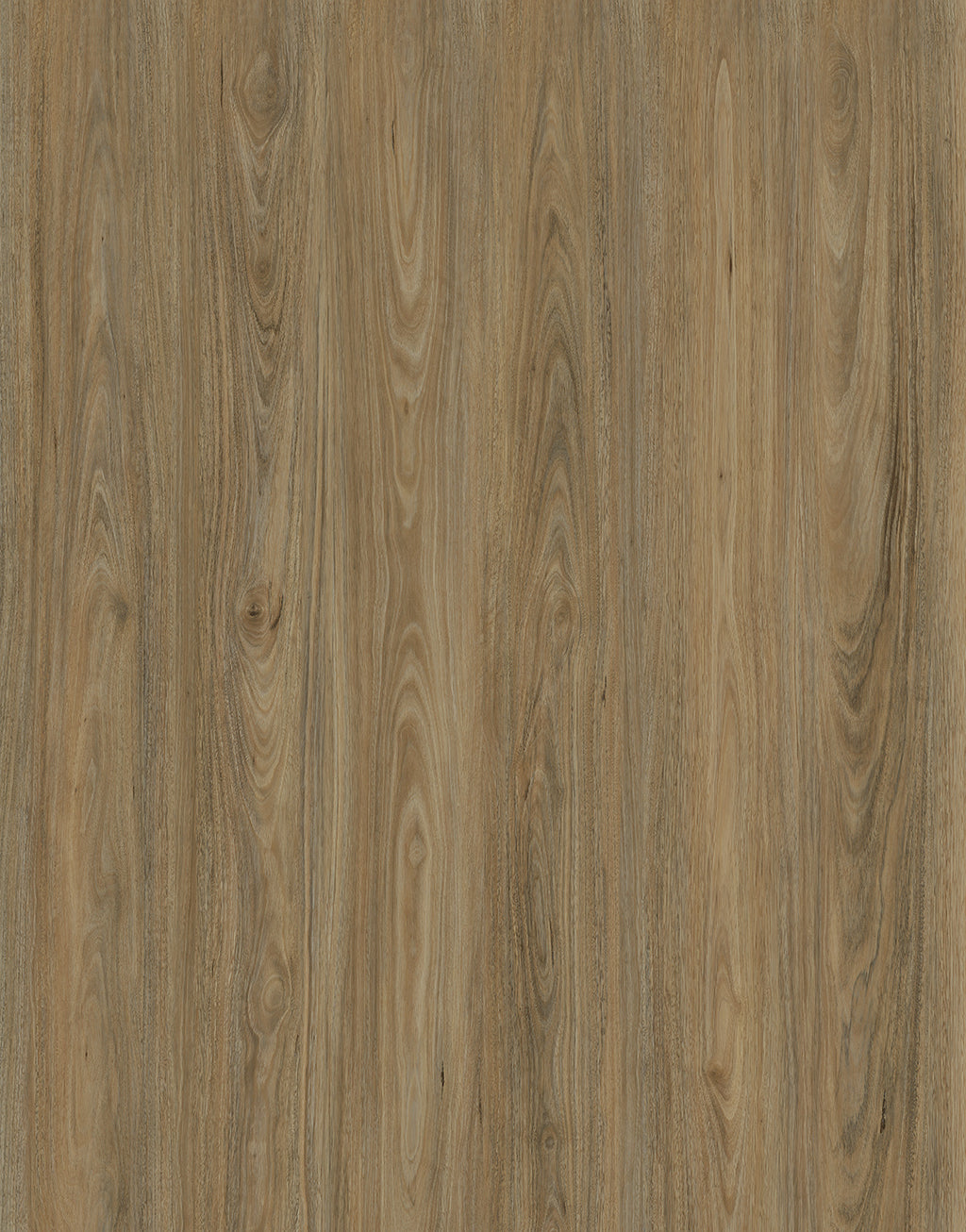 Vista 1500 Laminate